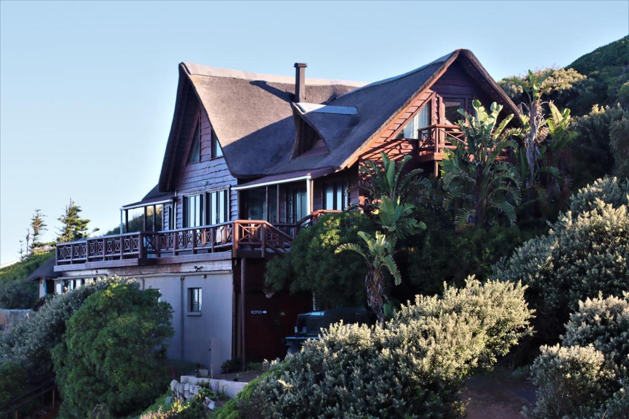 Oyster Bay Beach Lodge Exterior foto